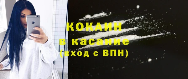шишки Алексин