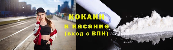 шишки Алексин