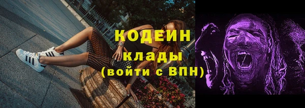 ГАЛЛЮЦИНОГЕННЫЕ ГРИБЫ Алзамай