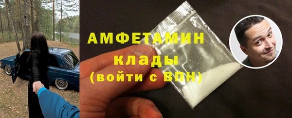 ГАЛЛЮЦИНОГЕННЫЕ ГРИБЫ Алзамай