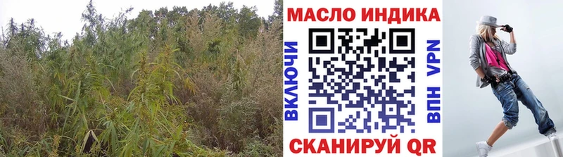 ТГК гашишное масло  Тихвин 